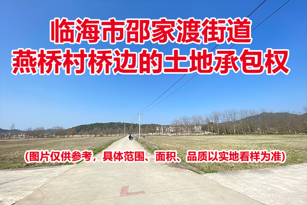 临海市邵家渡街道燕桥村桥边的土地承包权